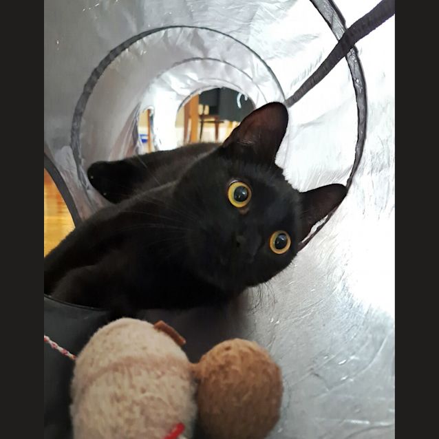 Photo of Vader