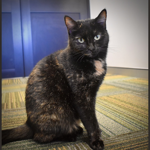 Photo of Tutu