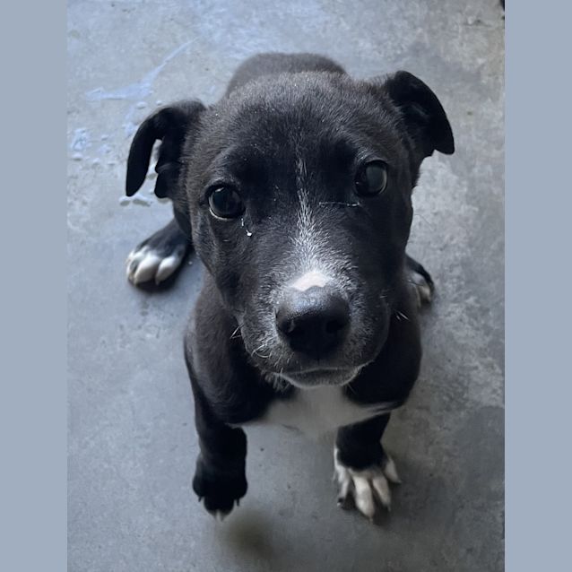 Photo of Mavis