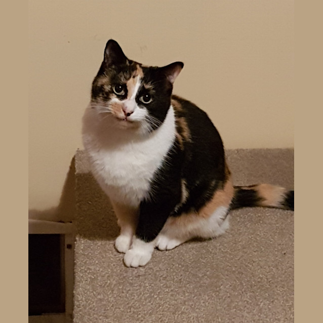 Photo of Suzi