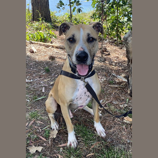 Photo of Marley