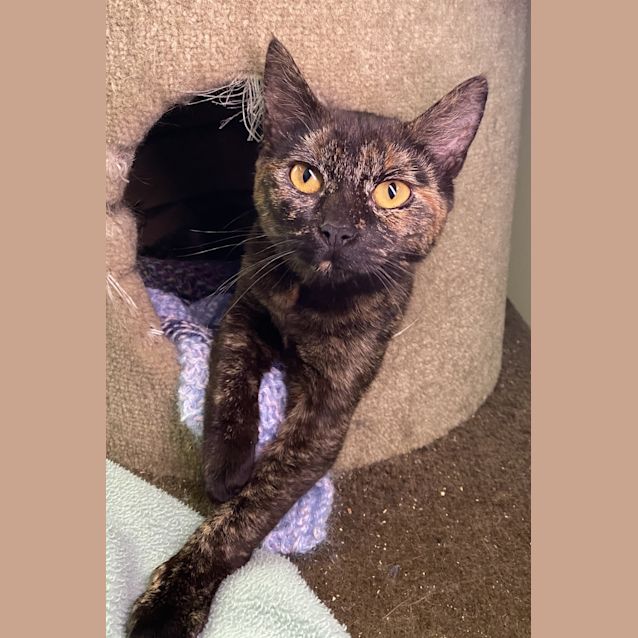Photo of Lucille