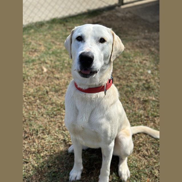 Photo of Reggie 