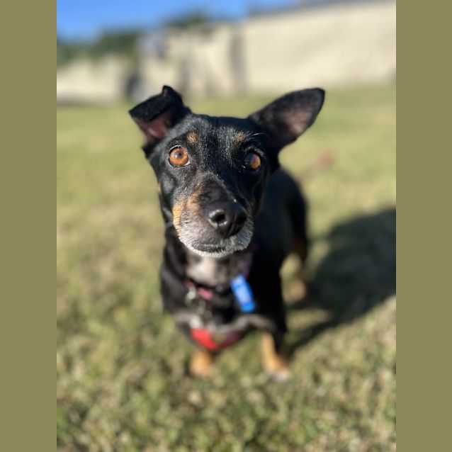 Photo of Lizzie