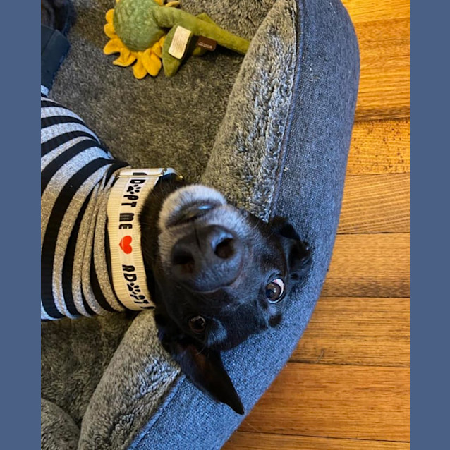 Photo of Jack