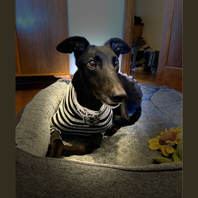 Photo of Jack