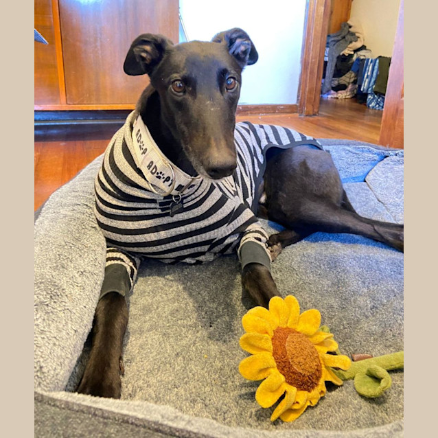 Photo of Jack