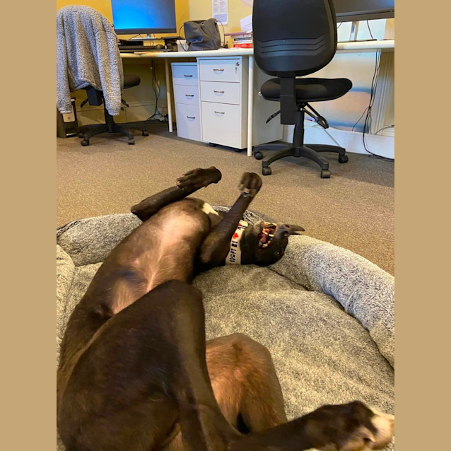 Photo of Jack