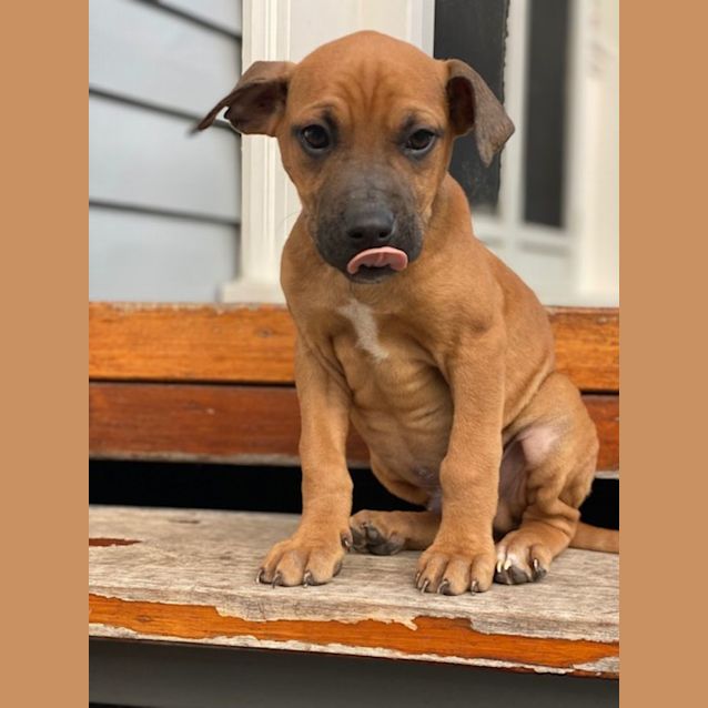Photo of Rudi