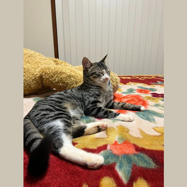 Photo of Isla