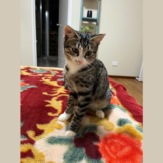 Photo of Isla
