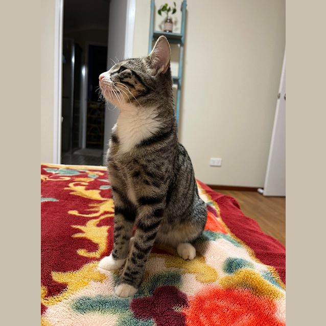 Photo of Isla