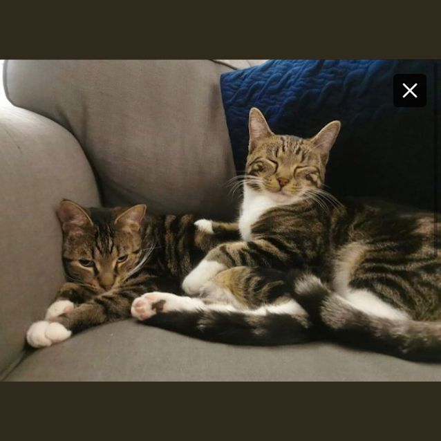 Photo of Billy / Olaf