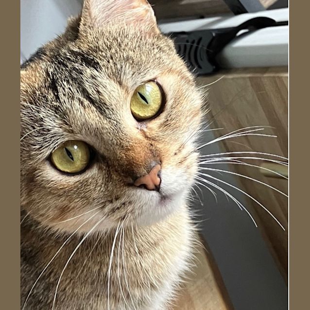 Photo of Daisy