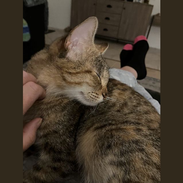 Photo of Daisy