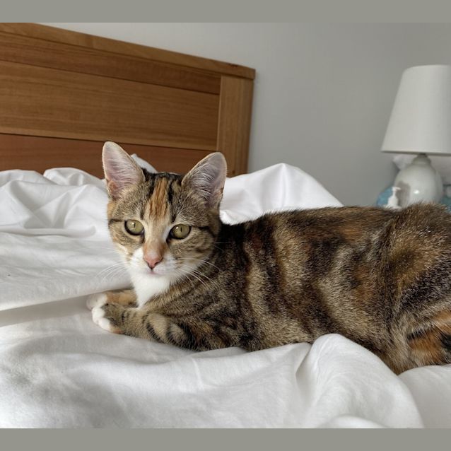 Photo of Iris ( Was April )