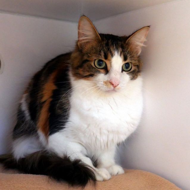 Photo of Audre Sta011326