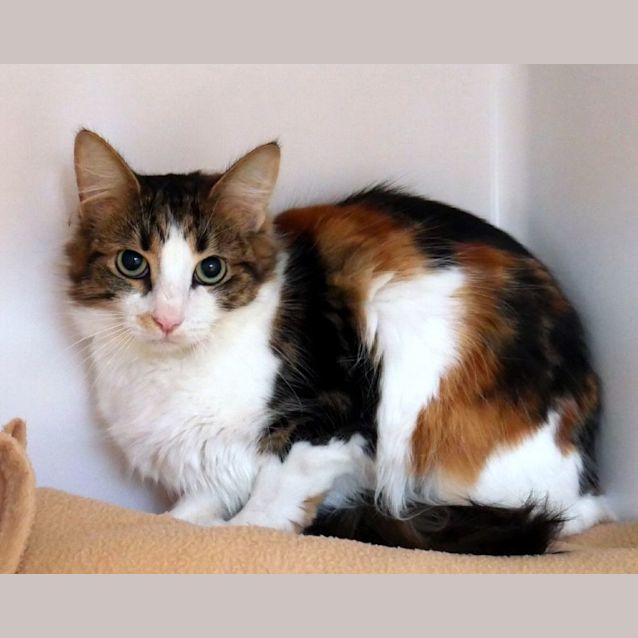 Photo of Audre Sta011326