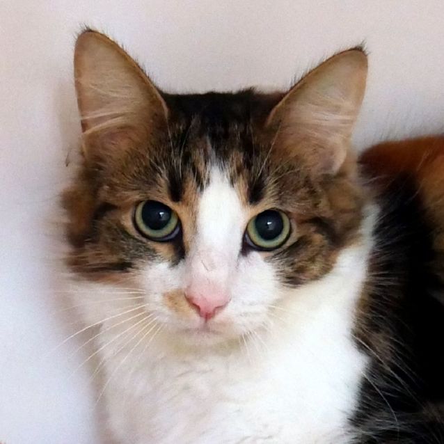 Photo of Audre Sta011326