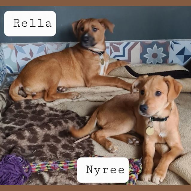 Photo of Nyree Or Rella