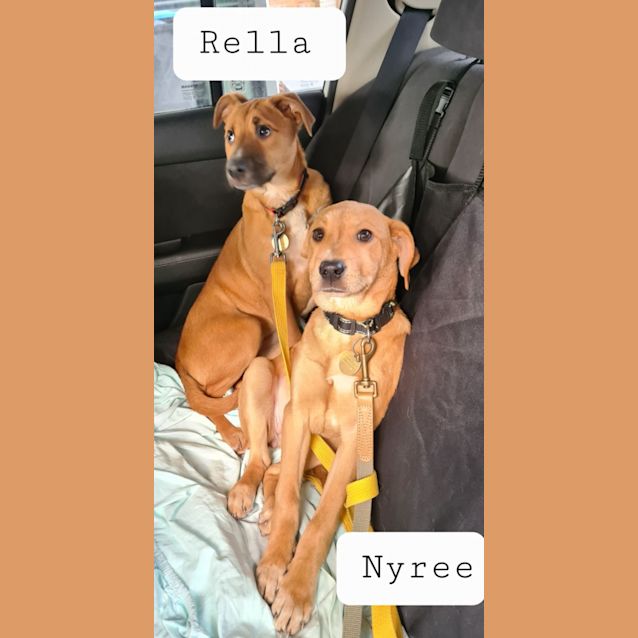 Photo of Nyree Or Rella