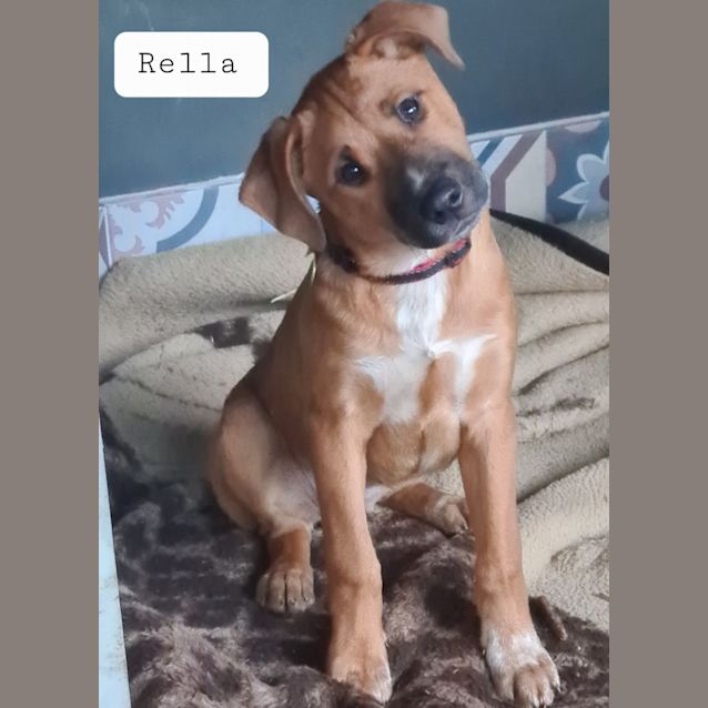 Photo of Nyree Or Rella