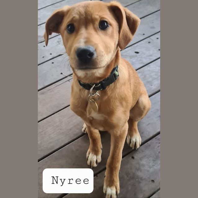Photo of Nyree Or Rella