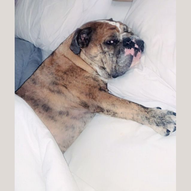 Photo of 🎺Crumpet🎺