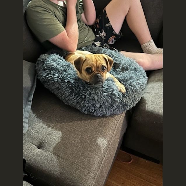 Photo of Mc Muffin