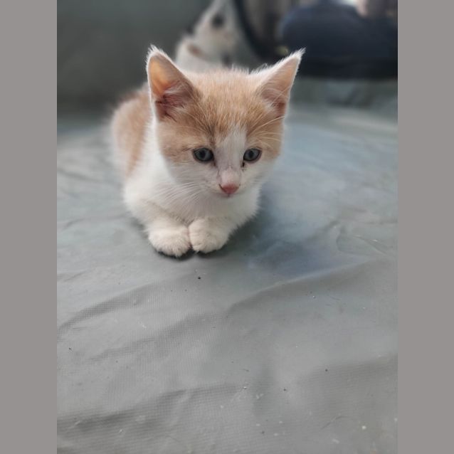 Photo of John Boy  (K3)