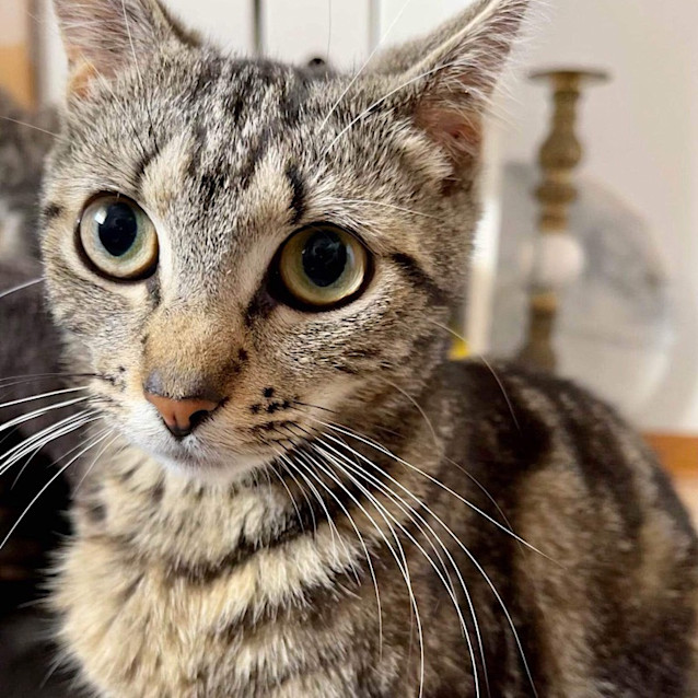 Photo of Bessie