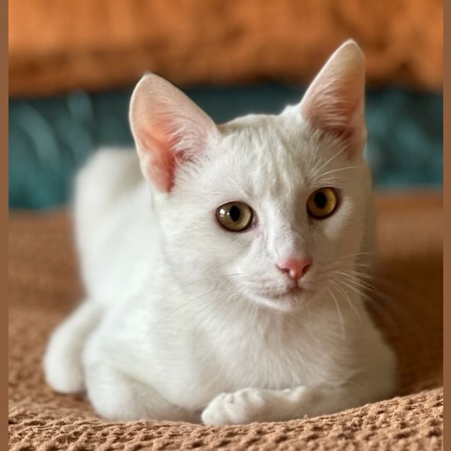 Photo of Salty