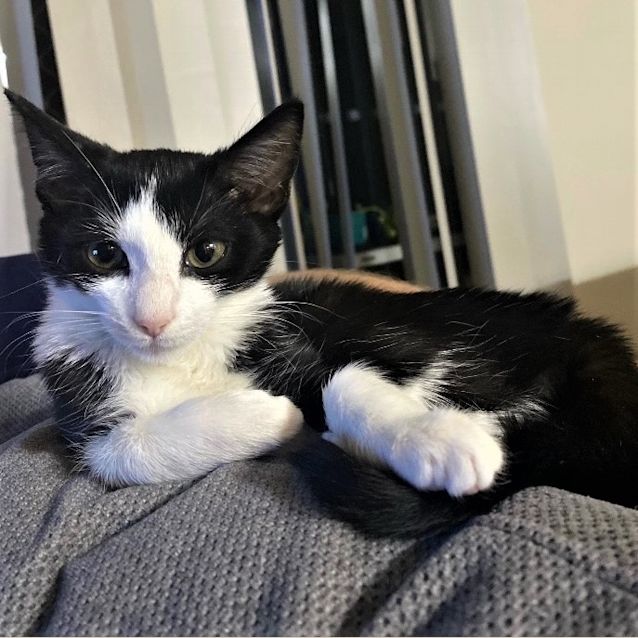 Photo of Dottie