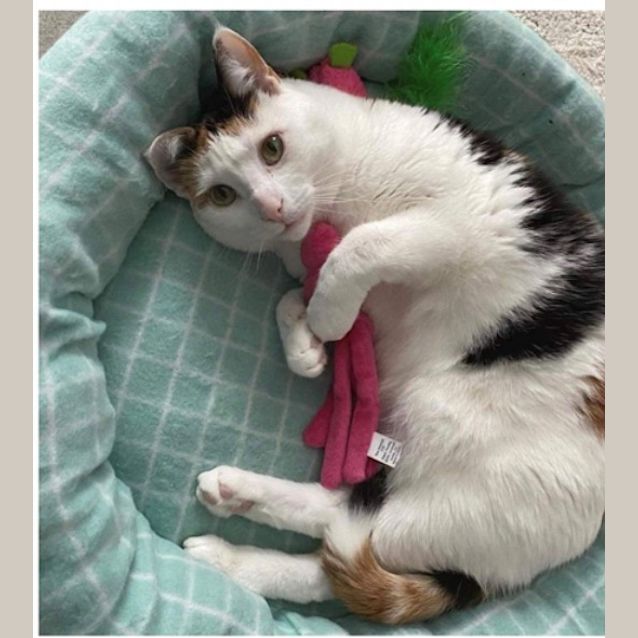 Photo of Buffy