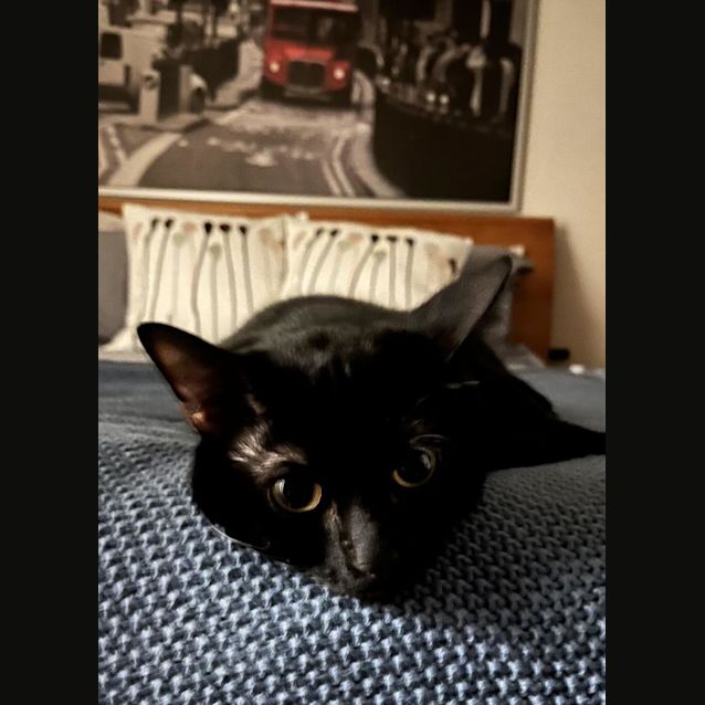 Photo of Maurice