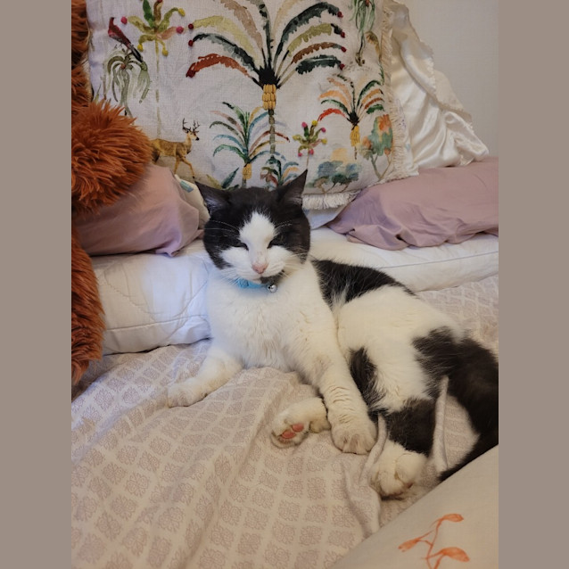 Photo of Missy