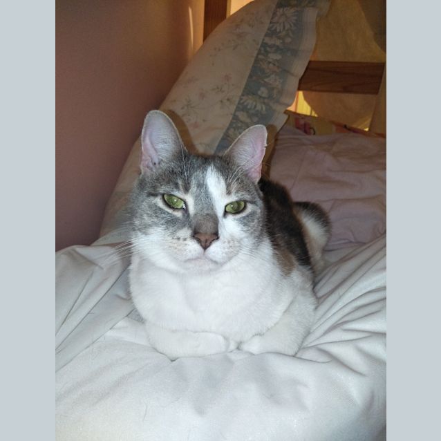 Photo of Octavia