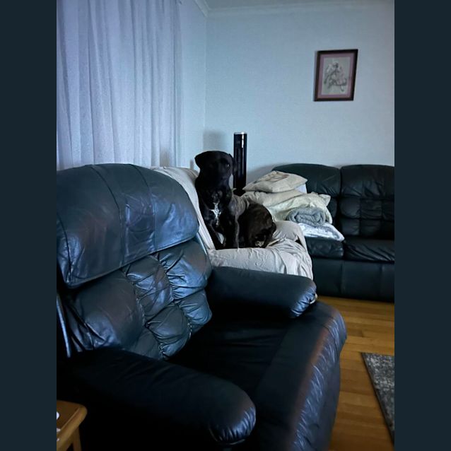 Photo of Bruce
