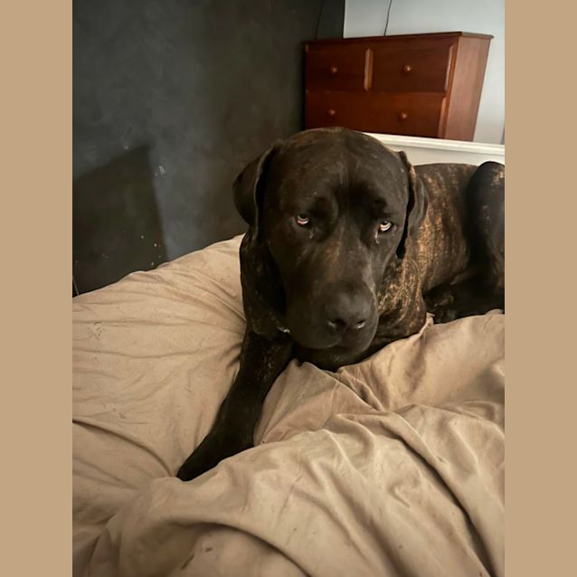 Photo of Bruce