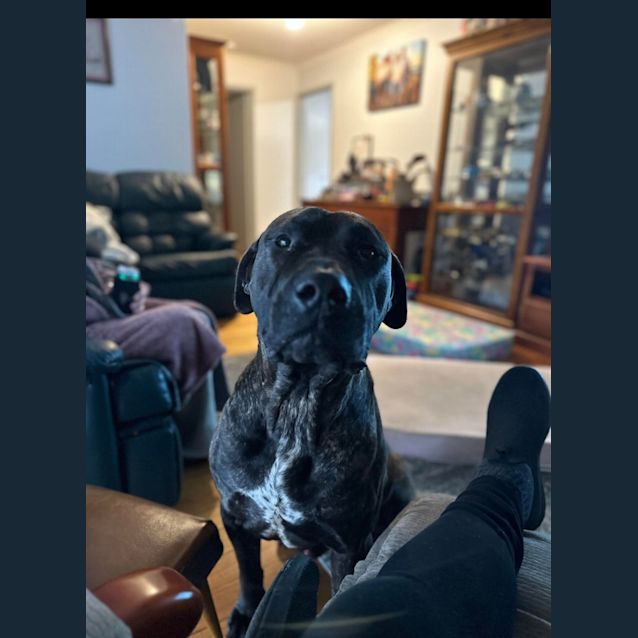Photo of Bruce