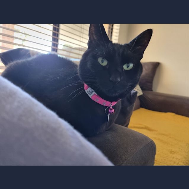 Photo of Missy