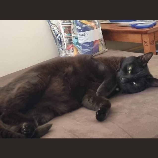 Photo of Missy