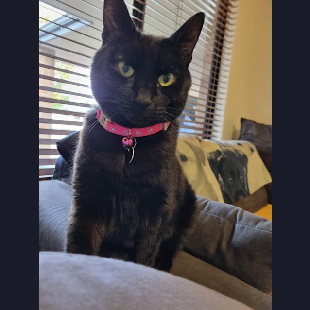 Photo of Missy