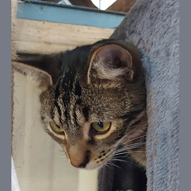 Photo of Bubbles