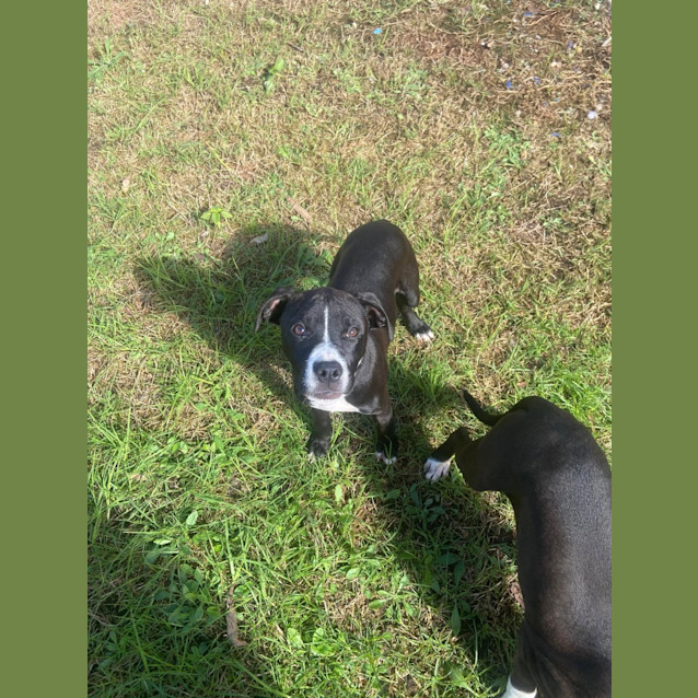 Photo of Hershey