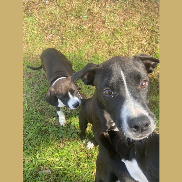 Photo of Hershey