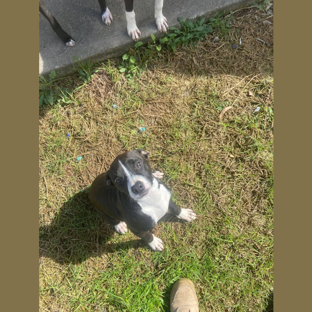 Photo of Hershey