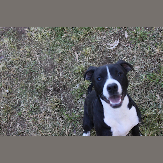 Photo of Hershey