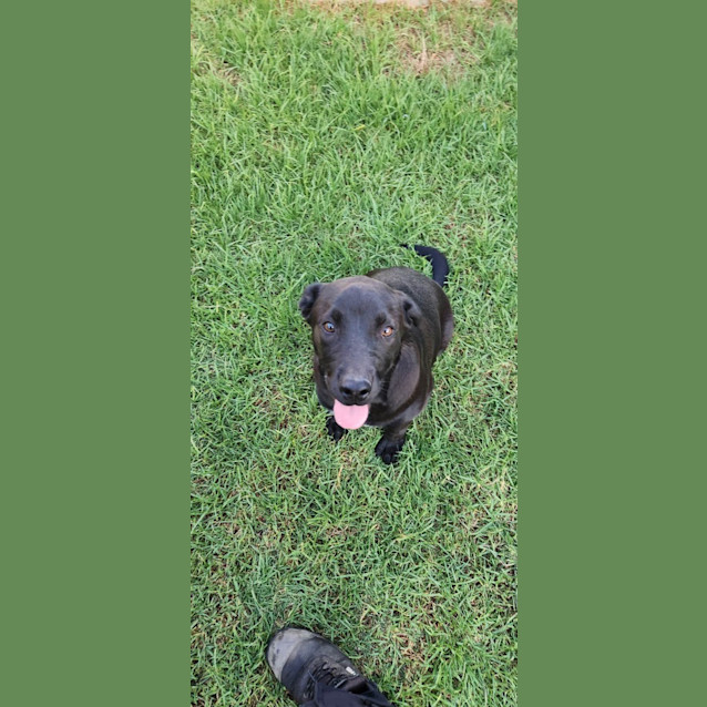 Photo of Maverick