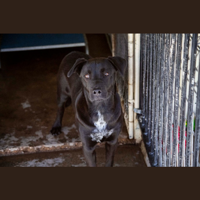 Photo of Maverick